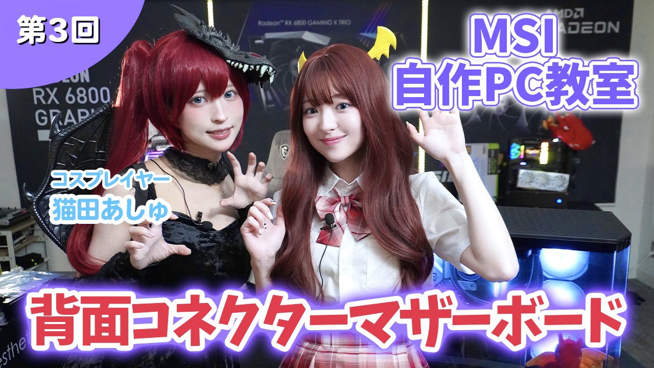 ハンドメイド オーダー受付ページ ♡女の子 ゴスロリ パネル♡